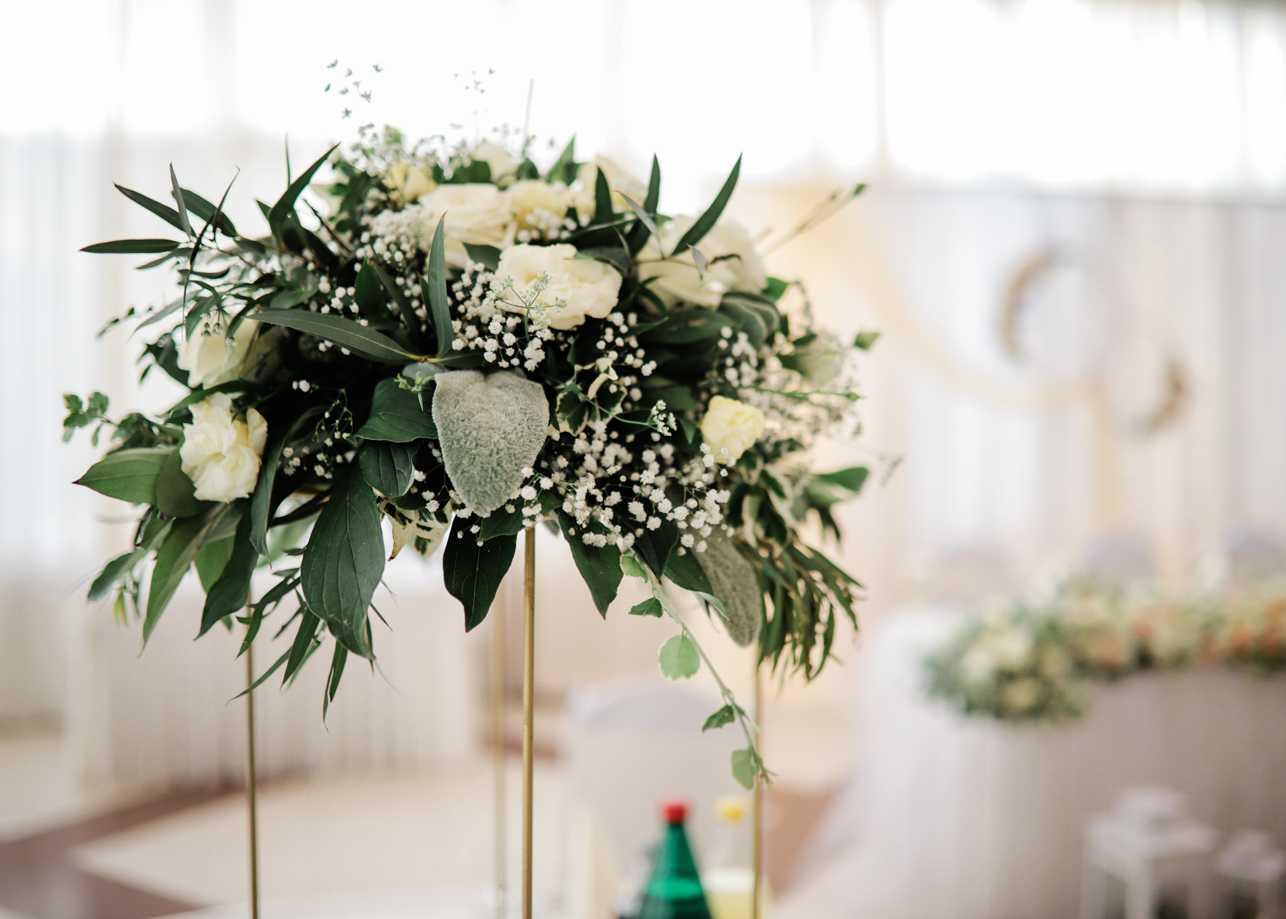 Green decor on desks