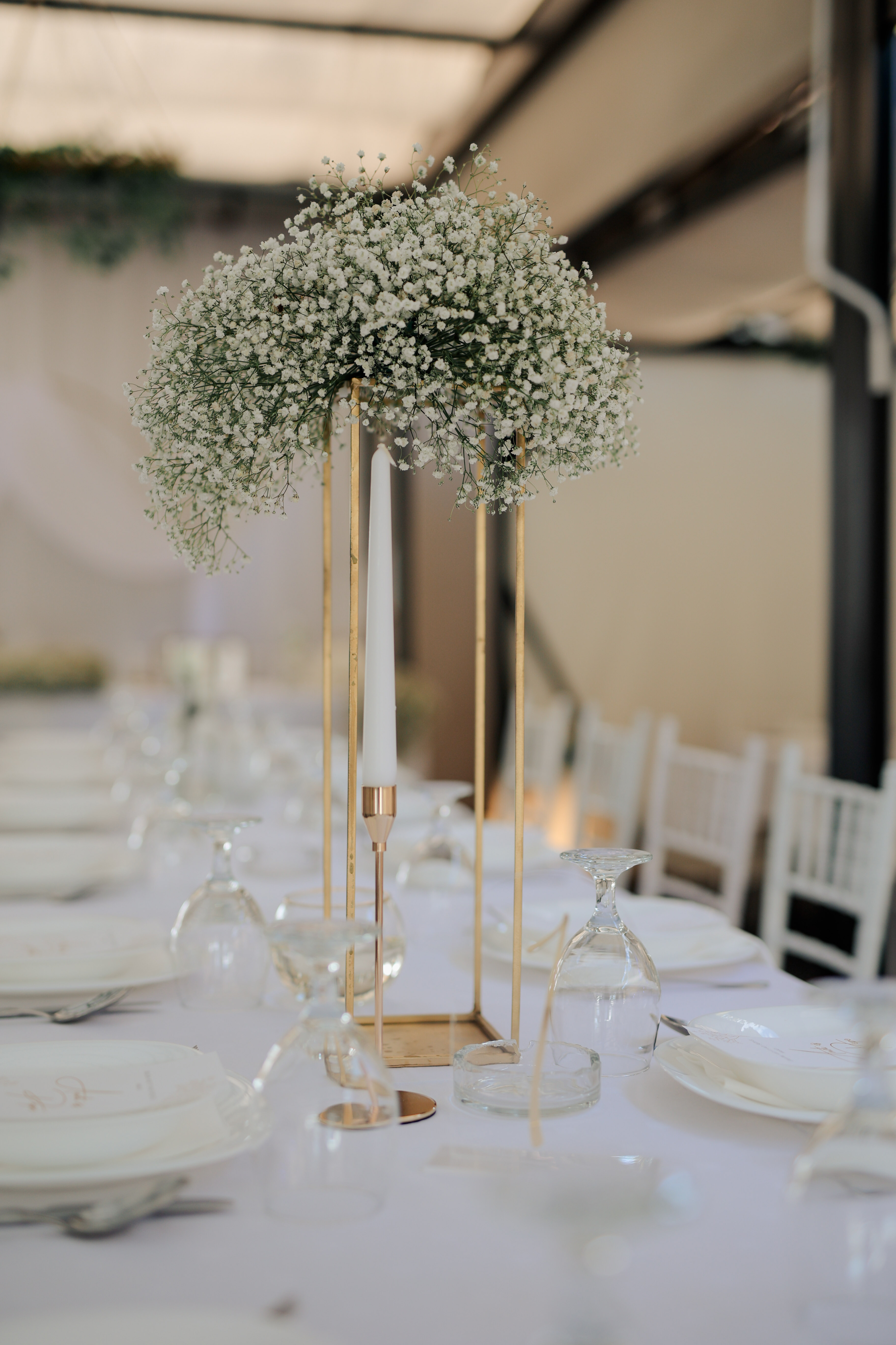 Green decor on desks