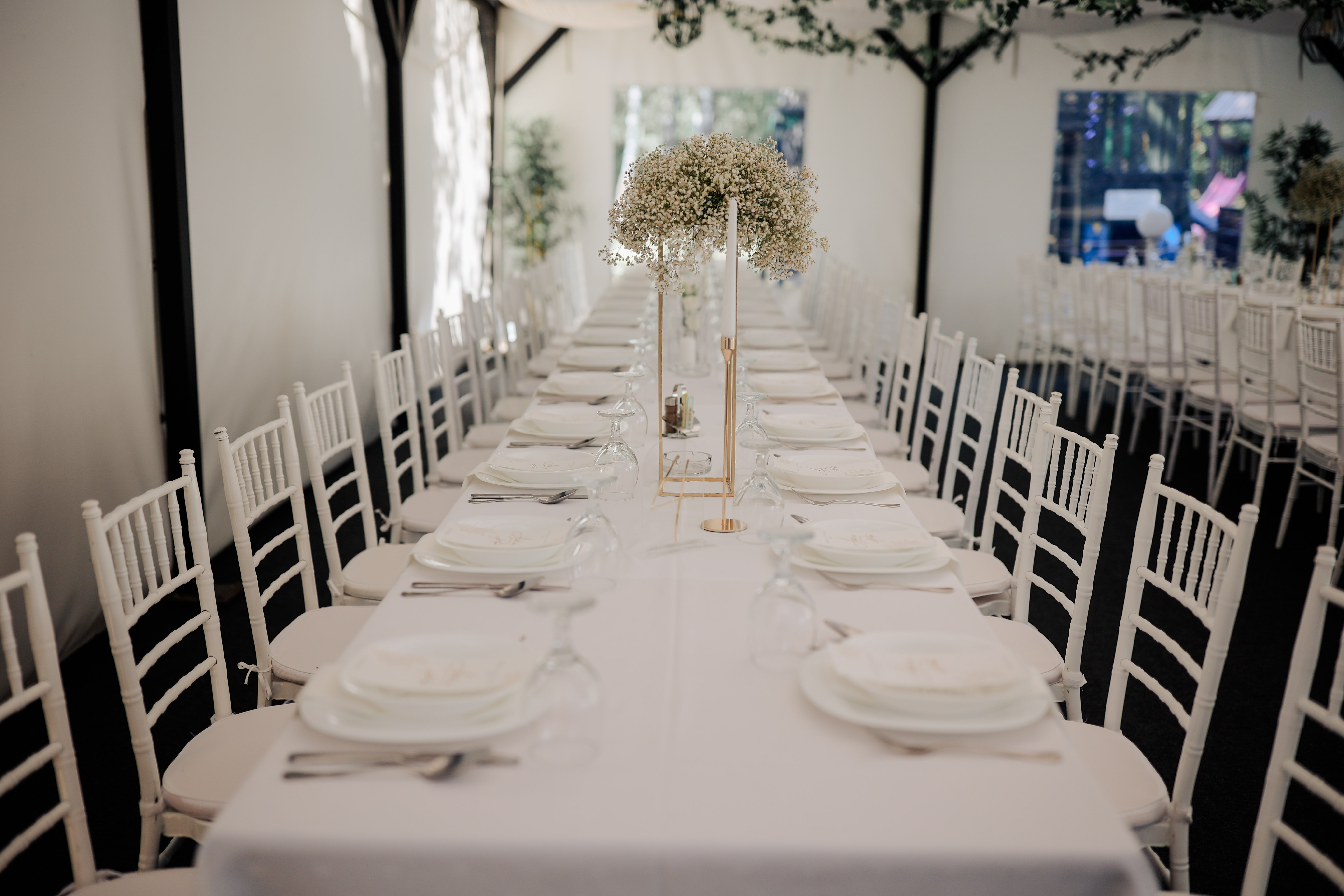 Green decor on desks